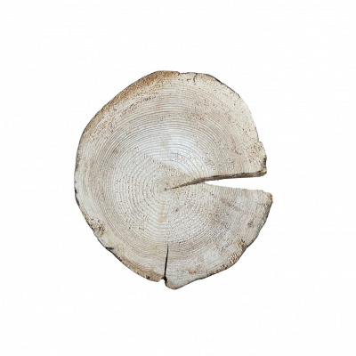 Petit rondin e n bois clair légèrement entaillé