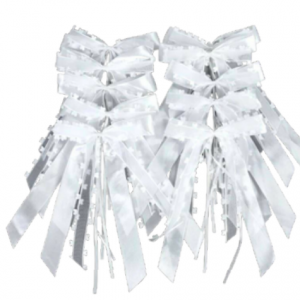 10 noeud blanc