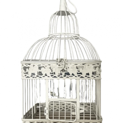 Petite cage à oiseau décorative